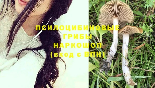 трава Козловка