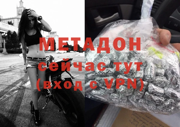 шишки Елизово